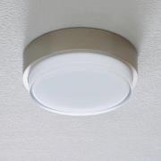 BEGA 50536 LED-loftlampe 930 rustfrit stål Ø 21 cm