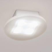 Born 2B 16S LED-loftlampe, rund, 6W 930