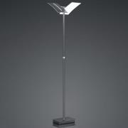 LED-gulvlampe Dual CCT, dæmpbar, antracit