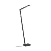 Carla 2 LED-gulvlampe, sort, 2 lyskilder