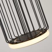 Cage LED-pendellampe, 1 lyskilde, sort