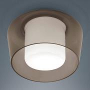 Helestra Canio loftlampe i glas, ravgul