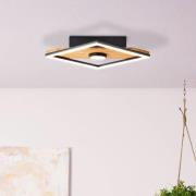 Woodbridge LED-loftlampe, 1 lyskilde