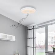 Raffy LED-loftlampe, højttaler, RGBW, hvid