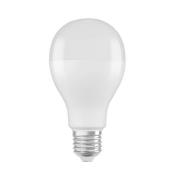 OSRAM Star LED-pære E27 19 W 2.452lm 6.500 K mat