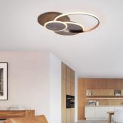 Paul Neuhaus Palma LED-loftlampe CCT rund