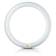 G10q 22W 865 ring-lysstofrør Master Circular TL-E