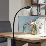 Lindby klemmelampe Jyla, sort, linse, 3000K, GX53