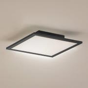 Lindby LED-panel Enhife, sort, 29,5 x 29,5 cm, aluminium