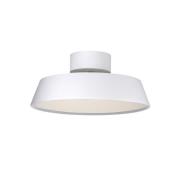 LED-loftslampe Kaito 2 Dim, hvid, Ø 30 cm, dæmpbar