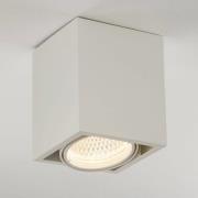 Arcchio Cirdan LED-loftlampe 1 lyskilde hvid