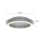 Ringlux LED loftlampe, stålfarvet, Ø 32 cm, metal