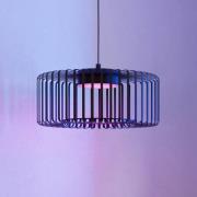 EGLO connect LED-hængelampe Ginestrone-Z, 1 lyskilde, sort