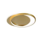 LED-loftlampe Evelyn, guldfarvet, længde 55 cm, metal