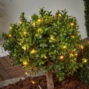 Dew Drop - solcelle-lyskæde 250 cm lang