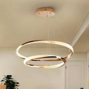 LED-hængelampe Orbitas, Ø 80 cm, guldfarvet, metal, dæmpbar