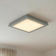 Loftlampe Tally, bredde 42 cm, salviegrøn, træ, E27