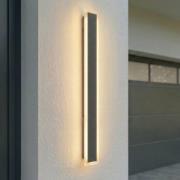 Lucande udendørs LED-væglampe Ilora, sort, 100 cm, CCT, IP65