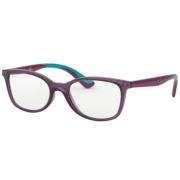 Stunning Violet Eyewear Frames RY 1587