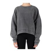 Grå Bomulds Sweatshirt CI0137