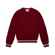 KIDS -Burgundy solid color crew neck sweater