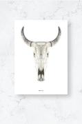 Plakat/Cow skull/Plano