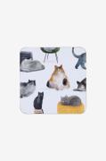 Maxwell & Williams - Coasters 4-pak Cats - Flerfarvet - Bar- & drinkst...