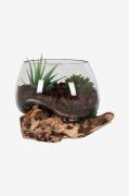 House Nordic - Vase San Marino - Natur - Urtepotteskjulere & vaser - -...