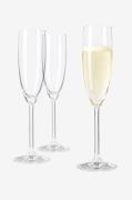 Leonardo - Champagneglas DAILY 6-pak - Transparent - Vinglas - - Homer...