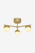 Nordlux - Loftslampe Contina - Messing - Spotlights - - Homeroom