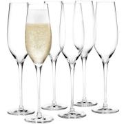 Holmegaard Cabernet Champagneglas Klar 29 cl., 6 stk.