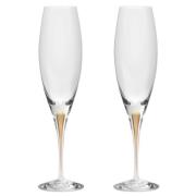 Orrefors Intermezzo champagneglas guld, 2 stk