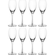 Mareld Champagneglas 16 cl, 8-pak