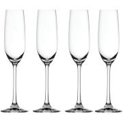 Spiegelau Salute Champagneglas 21 cl 4-pak