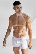 Bread & Boxers Boxerbrief 2-pack L - Boxershorts Bomuld hos Magasin