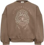 Sofie Schnoor Sweatshirt Str 8 år / 128 cm - Cashew Brown Sweatshirts ...