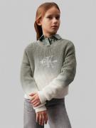 Calvin Klein Monogram Gradient Sweater Str 8 år - 0id Sweatshirts hos ...