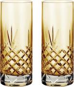 Frederik Bagger Crispy Citrine Highball 2 pcs. Gul & Transparent - Van...