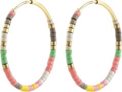 Pilgrim Alison Hoop Earrings Rose/goldplated one size - Creoler hos Ma...