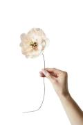 Studio About Paper Flower, Poppy, Nude, 130430n 174 Str Lengh 43 cm. F...