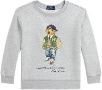 Polo Ralph Lauren Graphic Fleecelscnm4-kn-sws Str 7 / 7 år - Fa24 Bear...