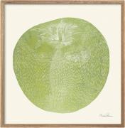 Poster & Frame Monika Petersen Art Prints Green Apple - Square Flerfar...