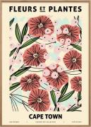 Poster & Frame Zoe Fleurs et Plantes - Capetown Flerfarvet Str 30x40cm...