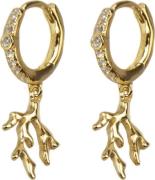 Hultquist ine Earrings Length: 2.3 cm - Creoler hos Magasin