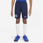 Nike Chelsea Fc ike Dri Fit Shorts 147-158 / L - Træningsshorts hos Ma...