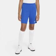 Nike Dri Fit Park 3 Traeningsshorts 137-147 / M - Træningsshorts Polye...