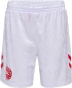 Hummel DBU Danmark 24 Hjemmebaneshorts 152 - T-shirts hos Magasin