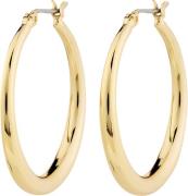 Pilgrim Jorun Hoop Earrings Goldplated one size - Creoler hos Magasin